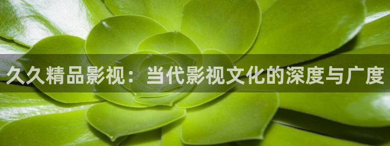 xbxb免费看片人人首：久久精品影视：当代影视文化的深度与广度