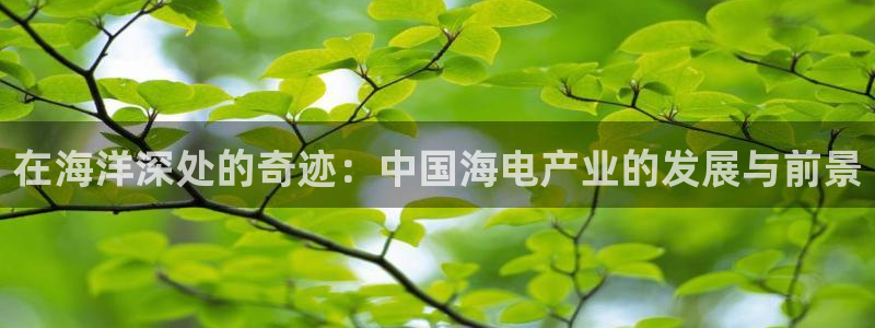 人人成人在线视频：在海洋深处的奇迹：中国海电产业的发展与前景