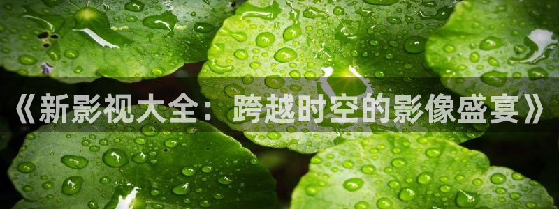 国产免费v大片人人电影播放器鬼片：《新影视大全：跨越时空的影像盛宴》