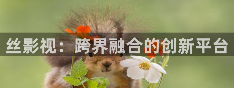 人人影院在线观看：丝影视：跨界融合的创新平台