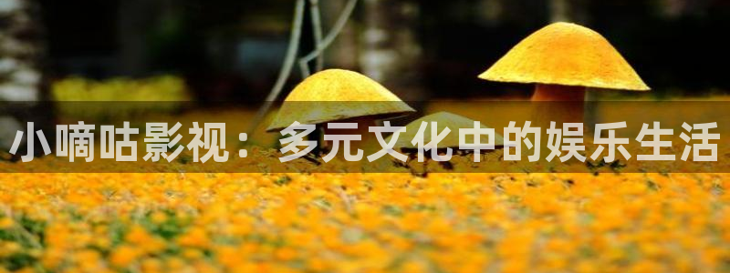 超碰人人碰：小嘀咕影视：多元文化中的娱乐生活