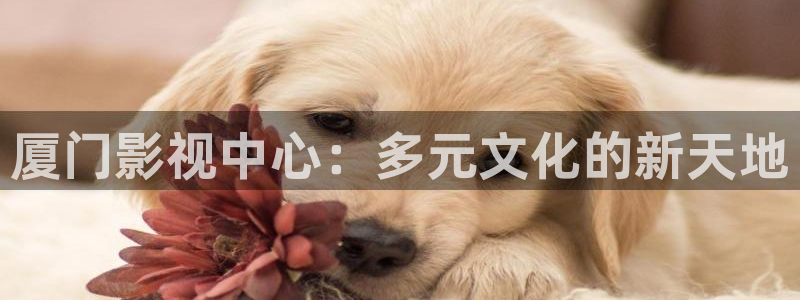 久久精品人人做人人爽电影蜜月：厦门影视中心：多元文化的新天地