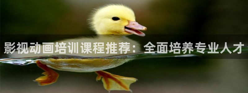电影天堂人人：影视动画培训课程推荐：全面培养专业人才